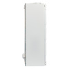 Колонка газовая Ballu GWH 10 Fiery Glass Lime